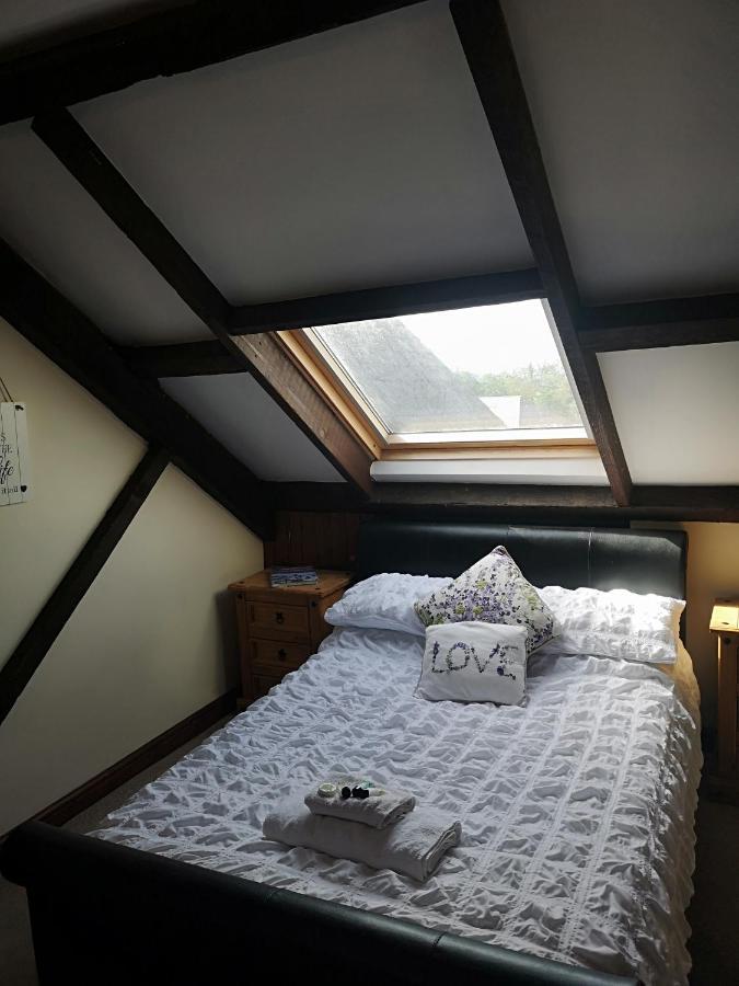 Red Lion Hotel Ystrad Meurig エクステリア 写真